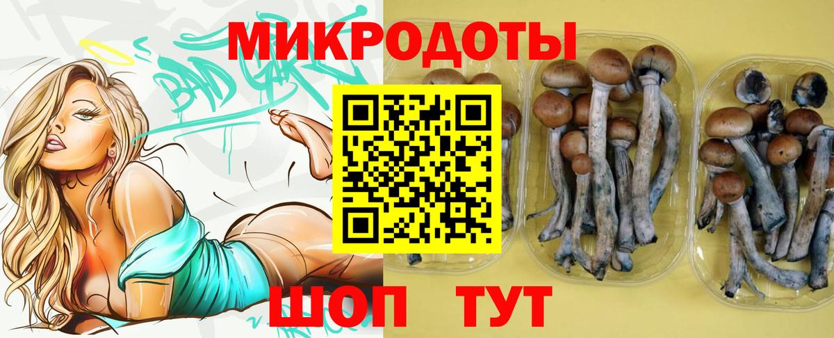 Галлюциногенные грибы GOLDEN TEACHER Ачхой-Мартан
